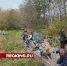 Жители поселка Старый Городок своими руками превратили заросший пруд в место отдыха - Regions.Ru