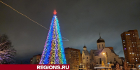 Новогоднюю ель установили на центральной площади в Лесном Городке - Regions.Ru