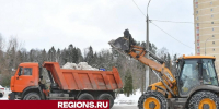 Коммунальщики Власихи вывезли снег в микрорайонах Школьный и Тополек - Regions.Ru