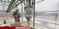 Напечатанный на 3D-принтере фельдшерский пункт в Дубках готов на 30% - Regions.Ru