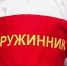 В Одинцово более 300 жителей вступили в народные дружины - Regions.Ru