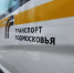 В Одинцове в Вербное воскресенье пустят бесплатные автобусы до мест захоронения - Regions.Ru