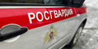Росгвардия набирает сотрудников в Одинцовский отдел вневедомственной охраны - Regions.Ru