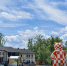 В Одинцовском парке отметят День молодежи под музыку и кофе - Regions.Ru