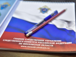 СК возбудил уголовное дело по факту инцидента с несовершеннолетней в Звенигороде