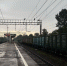 СК проводит проверку по факту гибели подростка на станции Петелино - Regions.Ru