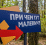 Новый арт-объект «Супрематический лес» появится в парке Малевича Одинцовского округа - Городской округ Одинцово