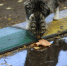 Дожди и холод: в Одинцово идет метеорологическая осень - Regions.Ru