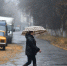 Осень вступает в свои права: когда ждать дождей и холода в Подмосковье? - Regions.Ru