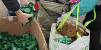 Сдайте отходы и получите подарки: в Одинцове пройдет экоакция по сбору вторсырья. Где, когда и как принять участие? - Regions.Ru