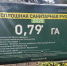 Саженцы сосны высадили в Пионерском лесничестве Звенигородского филиала ГАУ МО «Мособллес» - Городской округ Одинцово