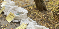 Сдай отходы — получи бонус: где в Одинцове можно выгодно избавиться от мусора и обменять ненужные вещи на что-то полезное - Regions.Ru