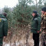 Операция «Елочка»: что происходит в лесах Одинцовского округа перед Новым годом - Regions.Ru