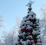 Одинцовские парки зовут на «Елки», йогу и сказочные приключения - Regions.Ru