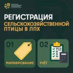 В Минсельхозе Подмосковья напомнили о правилах постановки на учет сельскохозяйственных птиц