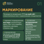 В Минсельхозе Подмосковья напомнили о правилах постановки на учет сельскохозяйственных птиц