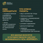В Минсельхозе Подмосковья напомнили о правилах постановки на учет сельскохозяйственных птиц